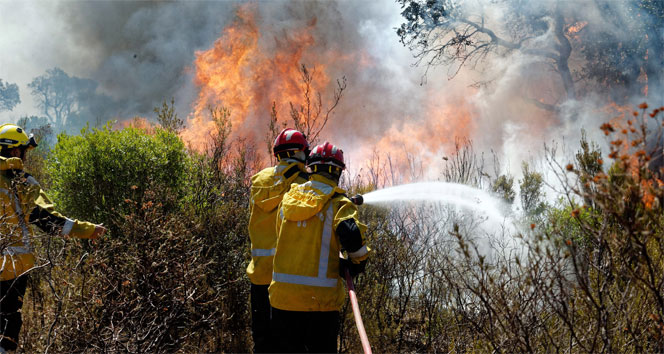 Fransa’da orman yangınları nedeniyle 12 bin kişi tahliye edildi