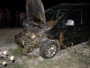 Ticari araç 40 koyunu telef etti