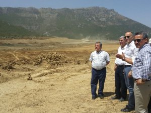 Tutal ve Çınal Kuğulu'da