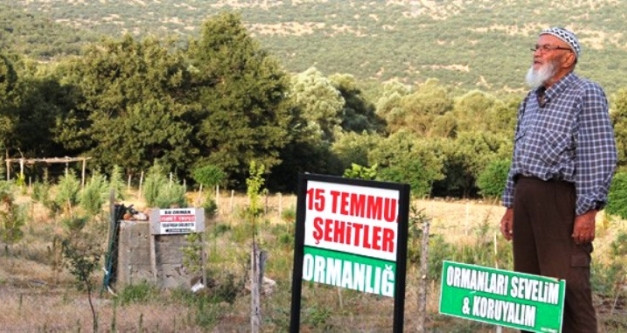 8 bin fidan dikti, "15 Temmuz Şehitler Ormanı" adını verdi