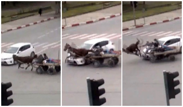 Kontrolden çıkan at ve sahibi ölümden döndü! / VİDEO