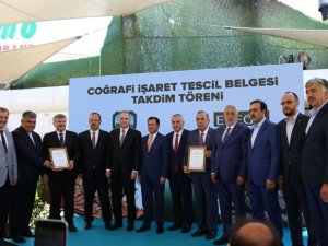 Siyah havuç denilince Ereğli akla gelecek