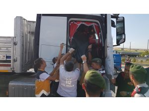 Tır şoförü aracında ölü bulundu