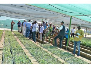 Afrika ülkelerine ormancılık eğitimi verildi