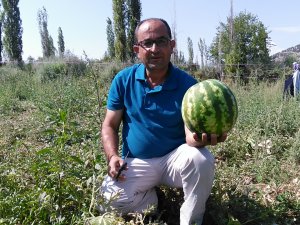 Bozkır karpuzu satışa sunuldu