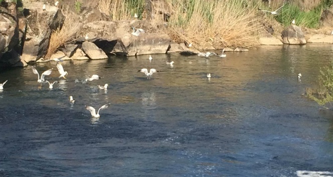 Su kaynaklarımız tehdit altında