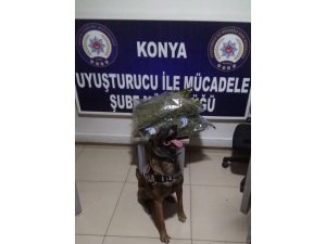 Durdurulan otomobilde 5 kilogram esrar bulundu