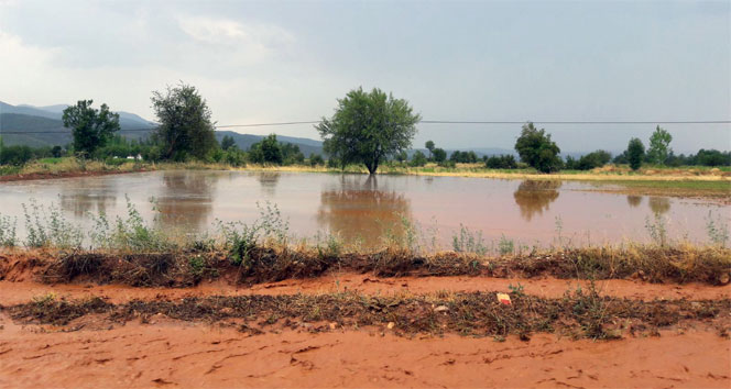 Aşırı yağış yolu kapattı, tütün tarlalarını vurdu