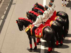 Kolombiya'daki Medellin Çiçek Festivali sona erdi