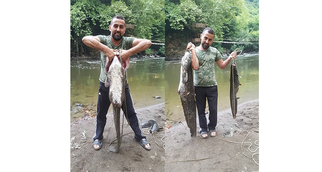 Dev yayın balığını elleriyle yakalandı