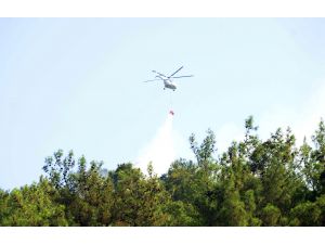 Antalya'daki orman yangını