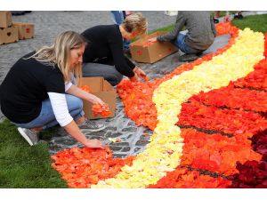 Brüksel'de Çiçek Zamanı Festivali