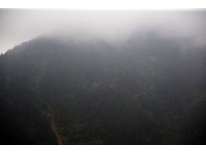 GÜNCELLEME 2 - Maçka'daki terör saldırısı