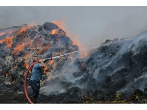 Besicinin umudu otlar yangında kül oldu