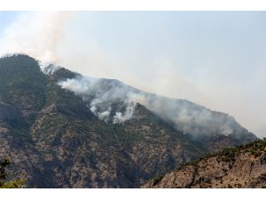 Tunceli'deki orman yangınları