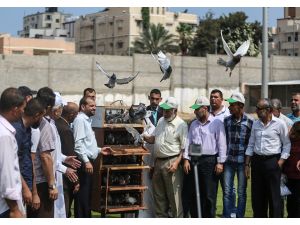 Gazze'de posta güvercinleri yarıştı