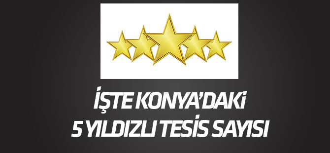 Konya'da 5 yıldızlı 5 tesis bulunuyor