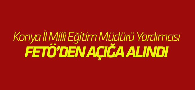 İl Milli Eğitim Müdür Yardımcısı açığa alındı