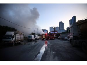 Şişli'de kurbanlık barınağında yangın