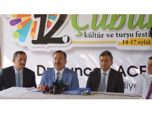 12. Uluslararası Çubuk Turşu ve Kültür Festivali