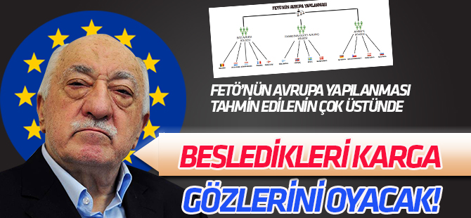 İşte FETÖ'nün Avrupa yapılanma şeması!