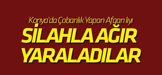 Konya'da çobanlık yapan Afganlı silahla ağır yaralandı