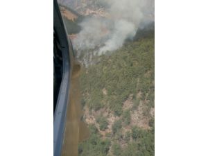 Adana'da orman yangını