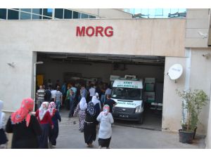 Botan Çayı'na düşen otomobildeki kayıp kadın bulundu