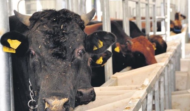 Bu kurallara uymayana 50 bin lira ceza var...