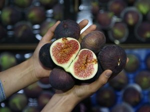 "Bursa Siyahı"nda 20 bin ton ihracat hedefi