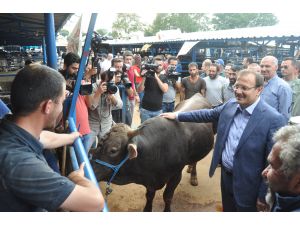 Başbakan Yardımcısı Çavuşoğlu: