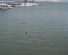 Balıkçılar, tekneleriyle göle açıldı