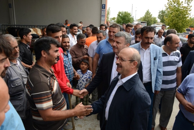 Sorgun ve Akyürek kurban pazarında