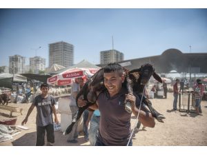 Kurban pazarlarında yoğunluk