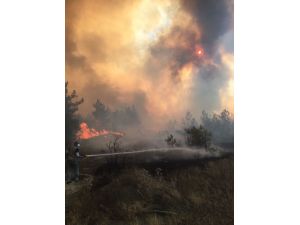 Bolu'daki orman yangını