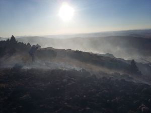 Ulaş'ta makilik alanda yangın
