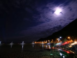 Tahliye kanalına düşen yavru köpeği fotoğrafçılar kurtardı