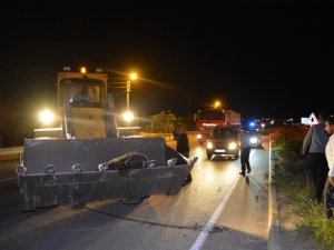 Otomobillerin çarptığı 2 eşek telef oldu