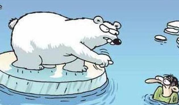 Kutup ayısı krizi! 6. sınıf Türkçe kitabında şok karikatür