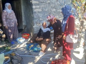 Seydişehir'den kısa kısa