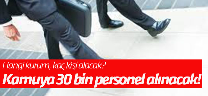 Kamuya 30 bin personel alınacak!