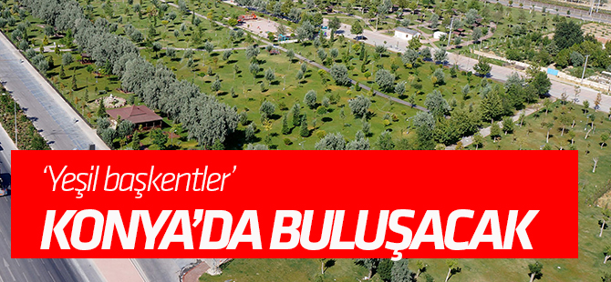 ‘Yeşil başkentler’ Konya’da buluşacak