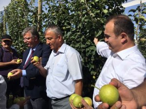 Japon (asya) armudu projesinin tanıtım ve hasat şenliği Ereğli’de yapıldı