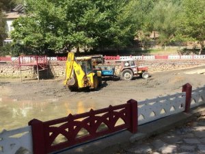 Kuğulu göletlerinde temizlik