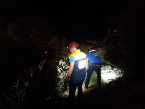 Erzincan'da 4 kişinin öldüğü trafik kazası