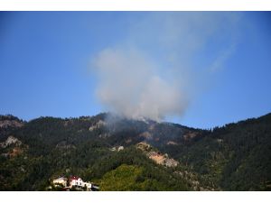 Gümüşhane'de orman yangını