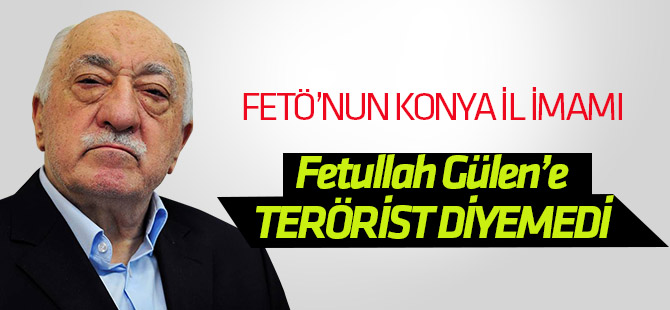 FETÖ elabaşına terörist diyemedi