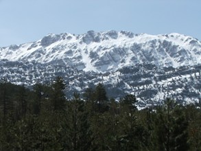 Toroslar'da kar bereketi