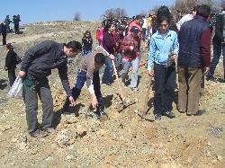 Ağaç bayramı kutlandı