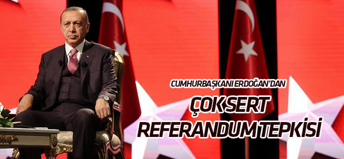 Erdoğan: Referandum kararı akıl tutulmasından öte bir şey